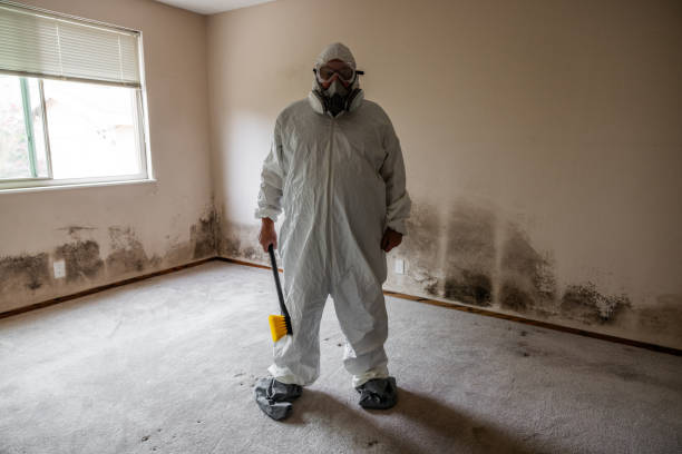 Best Mold Remediation for Healthcare Facilities  in Woodhaven, MI